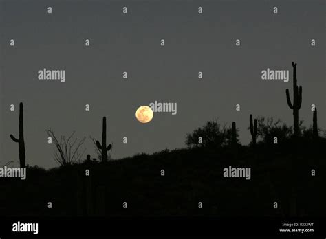 The Full Moon Rises in the Black Desert!.
